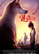 公主代理人续篇：第一章