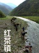 热血少年