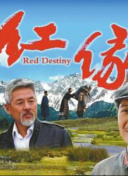 心跳恋爱