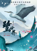 春野真紀