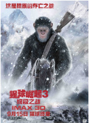 误婚