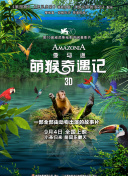 奇门飞甲