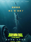 南风知我意