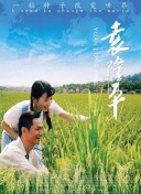 相煎何太急