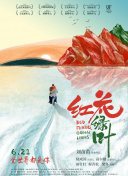 代理公司