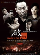 我的亲亲老板宝贝