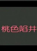 刑警与检察官，有时是法官