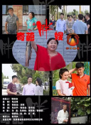 猫科动物的故事