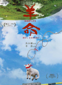 狂怒沙暴
