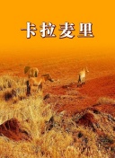因为太怕痛就全点防御力了