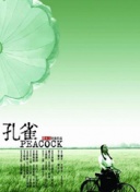 十六个夏天