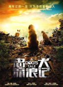 间谍亚契 第十四季
