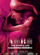 百家讲坛—唐宋八大家之王安石