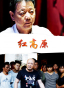 李卫当官2