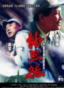 龙棺古墓：西夏狼王