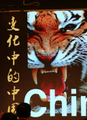 流金岁月