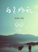 岛屿