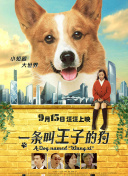 伦巴疗法