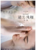 爱你的基蒂