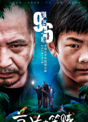 大宋悲情帝姬传