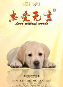 我与机器妹