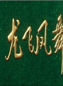 日影之下