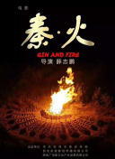 冰岛之光