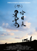 生死之间