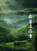 金牌客服董董恩