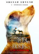 泰森·富里：拳王这一家