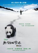 班长殿下