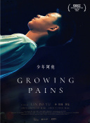 星条红与皇室蓝