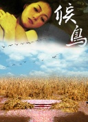 龙棺古墓：西夏狼王