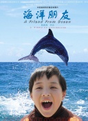非快速眼动之窗 2023 夏