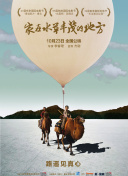 亲子鉴定师手记