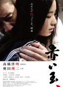 精灵宝可梦