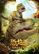 爱的飞行模式