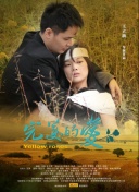 百岁之好，一言为定